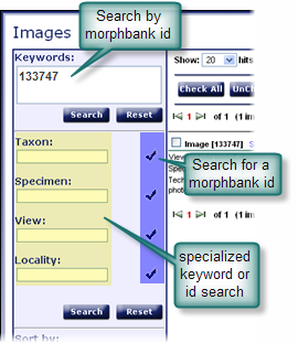 Search Methods