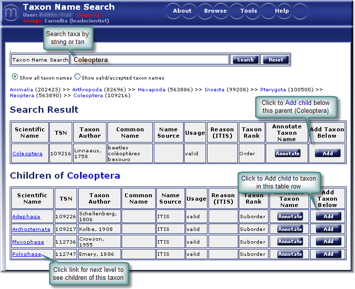 taxon name search