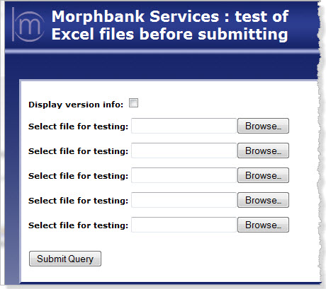 screen shot of validate Excel form